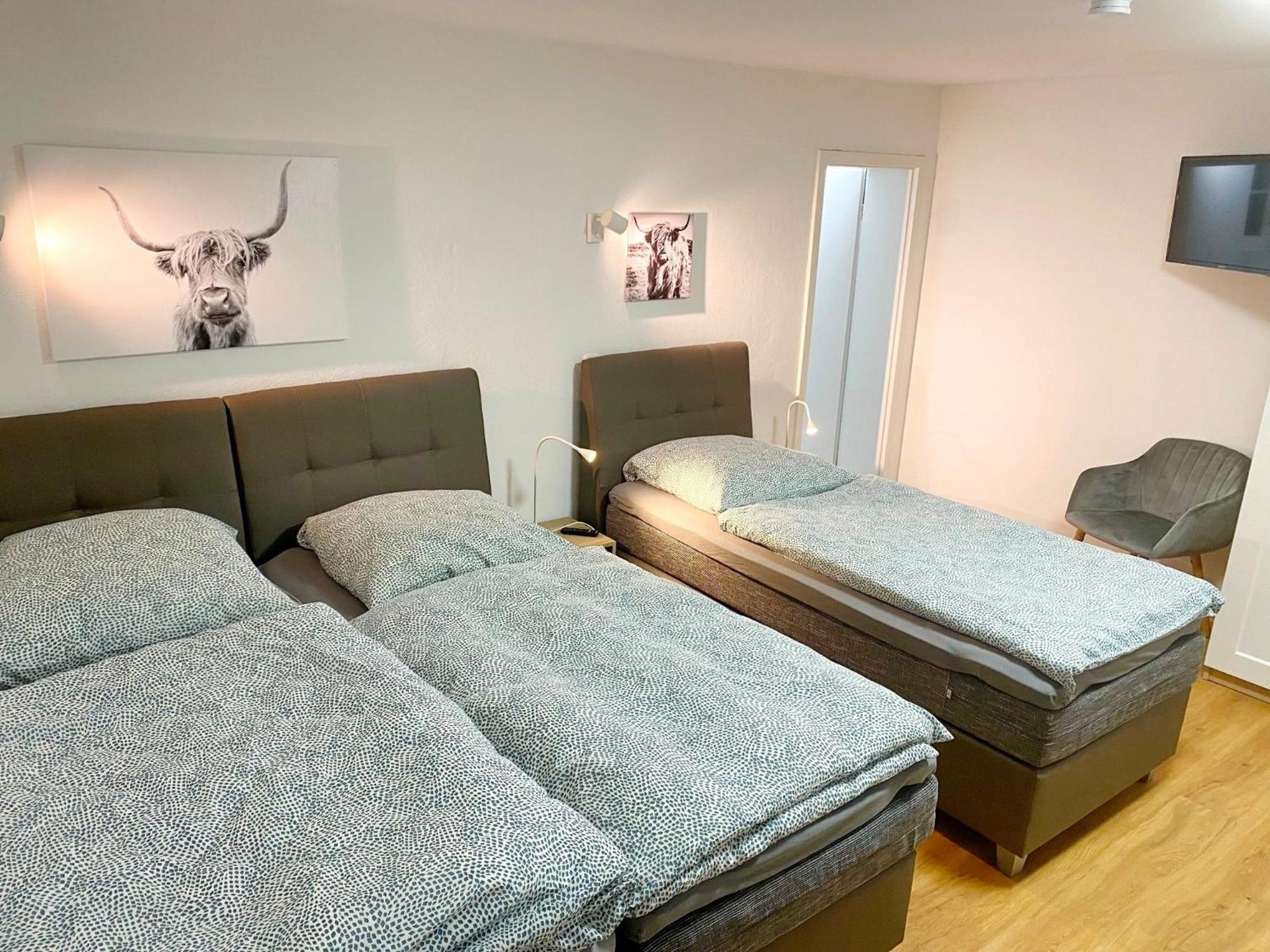 Haus Dora Apartment 2 Penken 迈尔霍芬 外观 照片